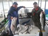 (04/13/2018) - Nice Striped Bass
